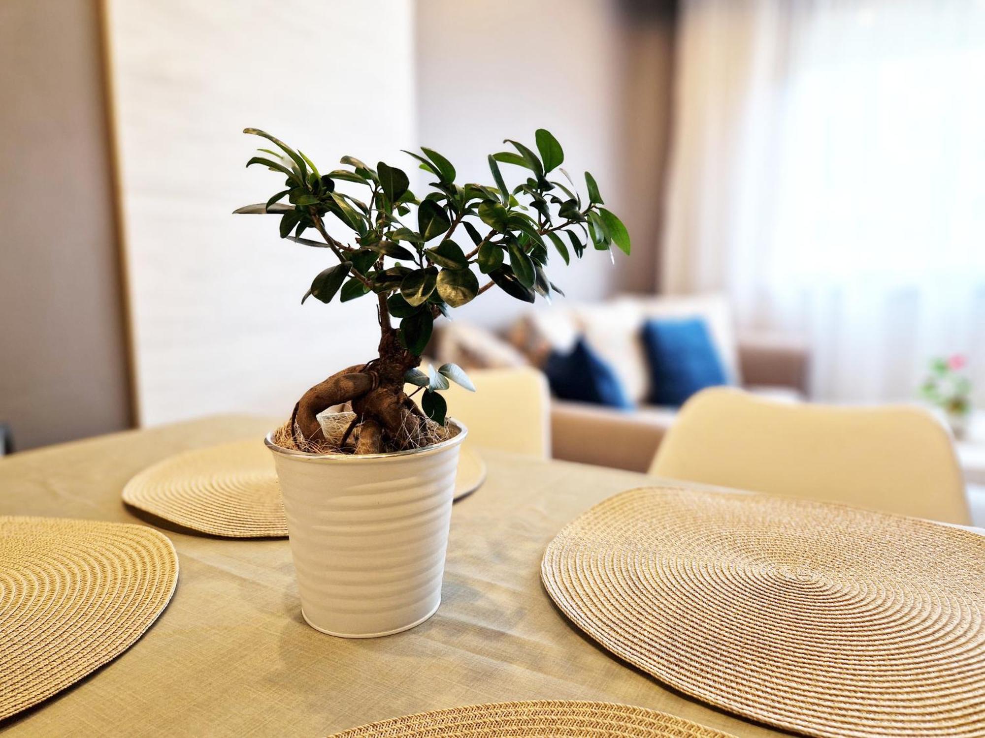 Central Apartment - Spacious Designer Property In 旧扎戈拉 外观 照片